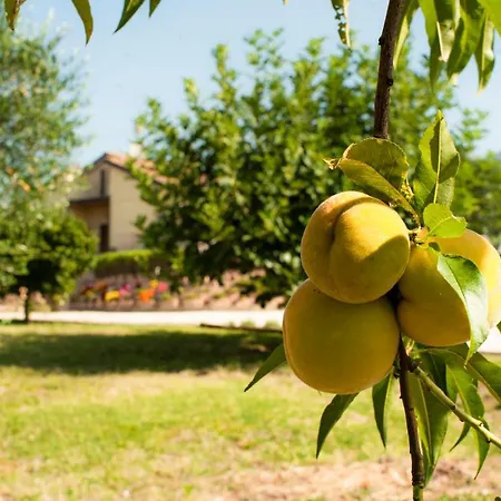 Villa Spello 别墅