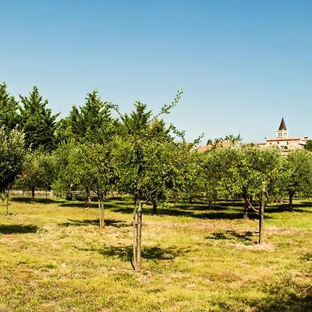 Villa Spello 别墅 斯佩洛